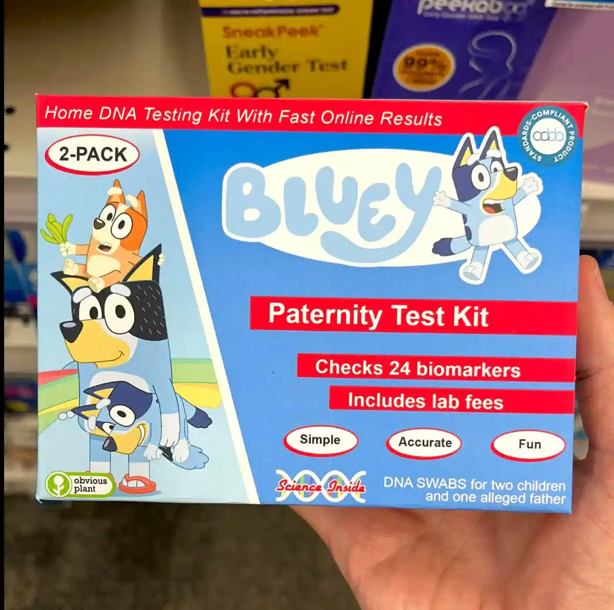 A hand holds a blue box labeled 'BLUEY Paternity Test Kit' featuring cartoon dogs from the show Bluey. The box claims to…