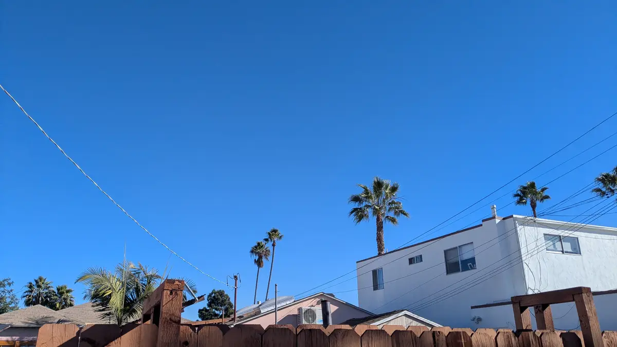A bright blue sky dominates the image above a wooden fence, with palm trees and residential buildings visible. Overlaid text…