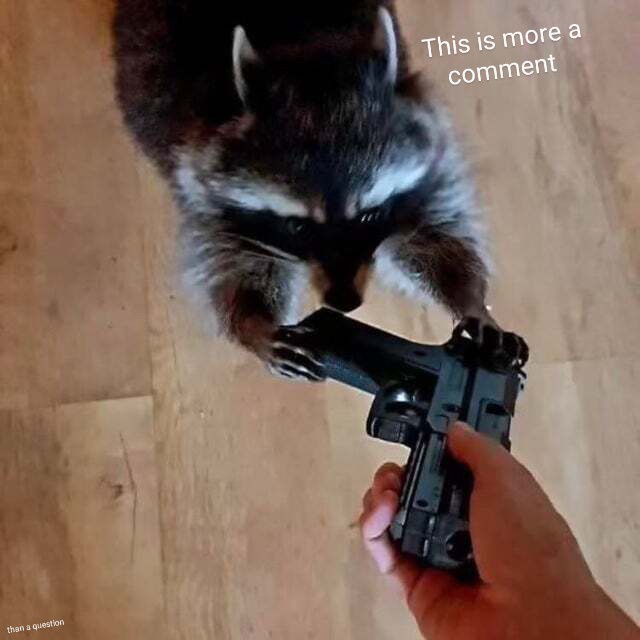 A raccoon is seen from above, pawing at a camera held by a human hand on a wooden floor. White text overlaid on the image…