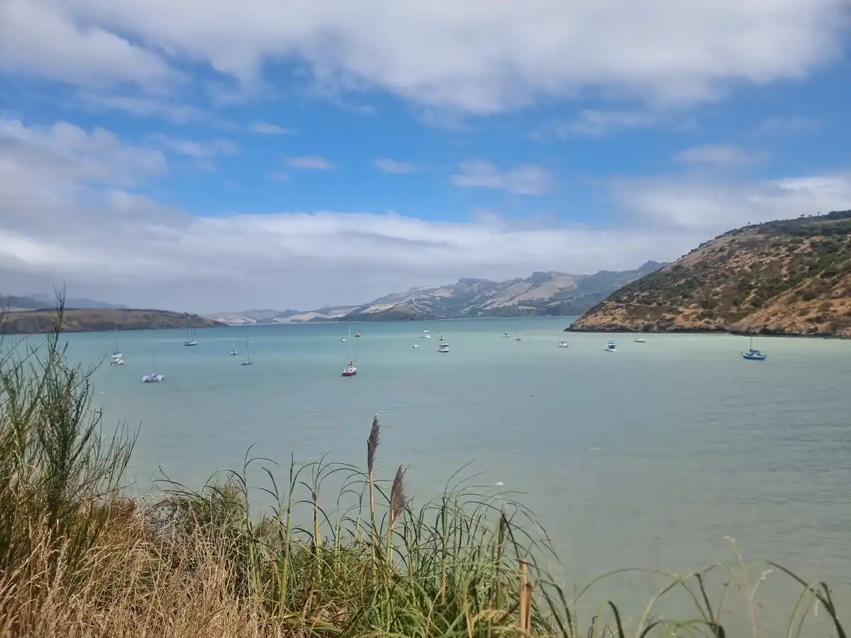 A scenic photo of a calm bay with numerous sailboats and motorboats floating on turquoise water, framed by grassy foreground…