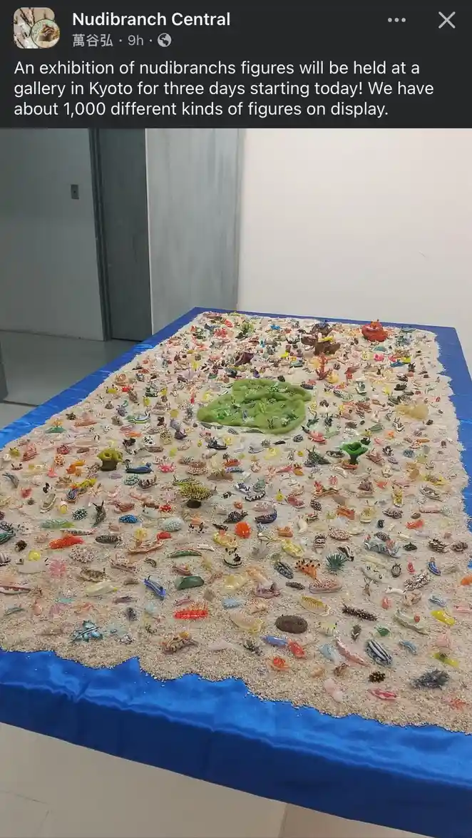 A large table covered in sand and a blue cloth displays hundreds of colorful, small plastic figurines of nudibranchs…