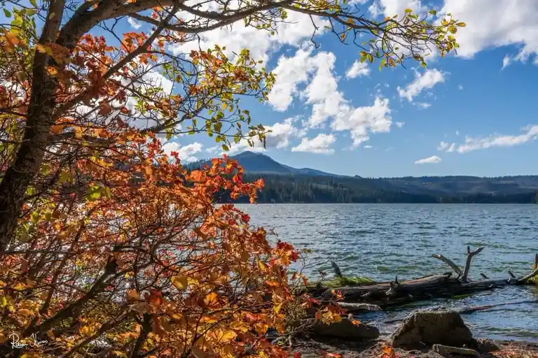 A scenic autumn landscape featuring a lake with a forested mountain in the distance, framed by vibrant orange and yellow…