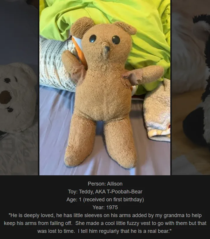 Day 776: Join Me on My Website to Celebrate Childhood Memories with Teddy, Our Newest Toy!