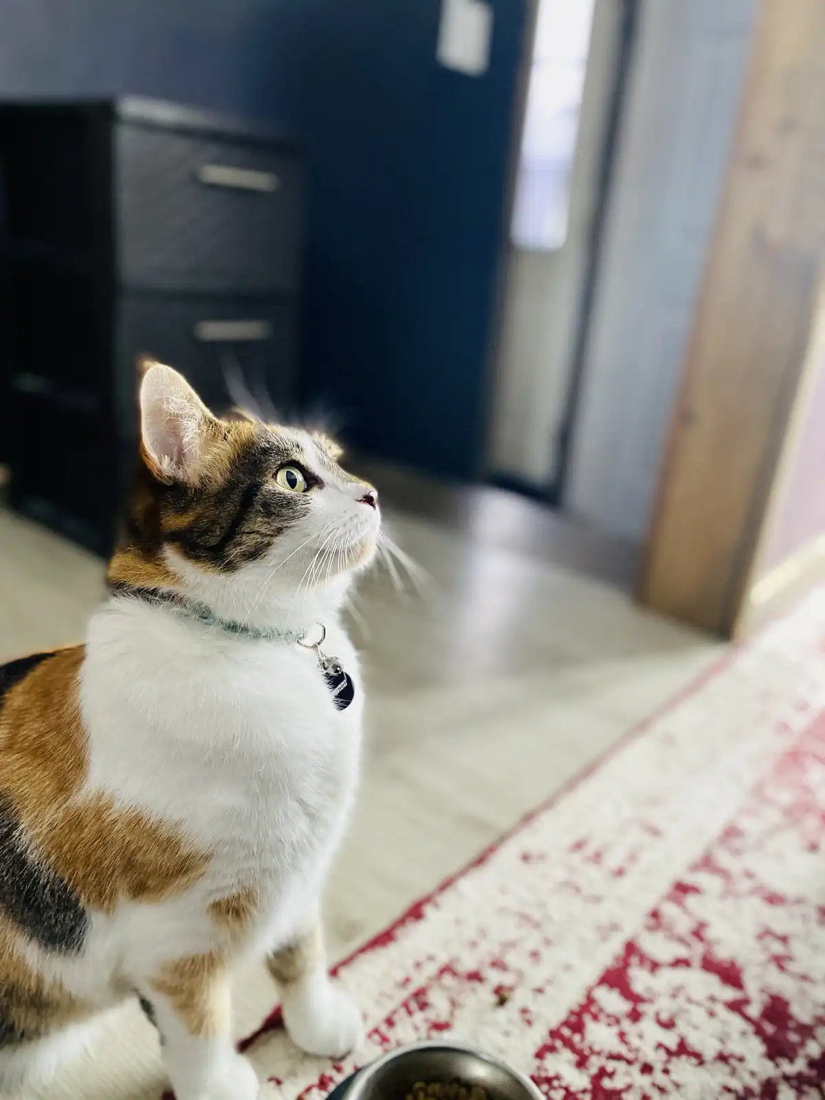 The Moment She Spotted a Bug: A Hilarious Reaction!