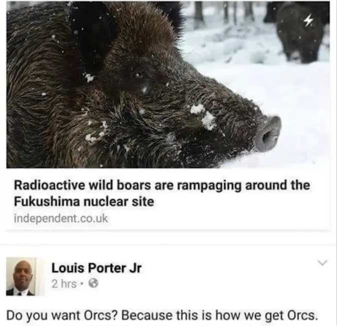 A close-up photo of a wild boar in snow, with a news headline overlay reading 'Radioactive wild boars are rampaging around…