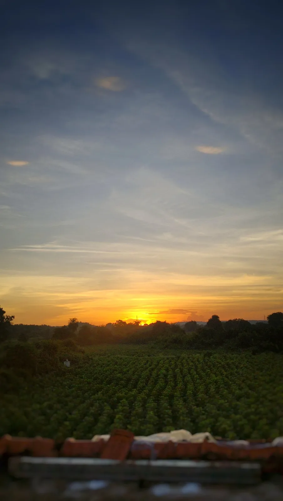 A breathtaking sunset