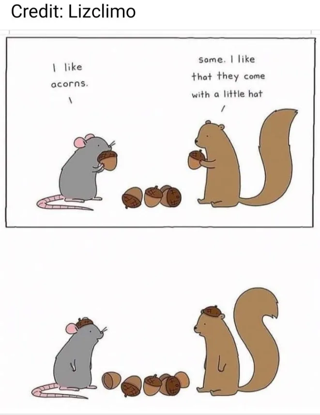 A cartoon mouse and a cartoon squirrel are shown with acorns. The mouse says 'I like acorns.' The squirrel replies, 'some. I…