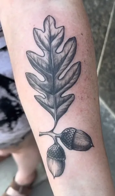 A black and grey tattoo on a person's forearm depicts a detailed oak leaf with a stem that branches into two acorns. The…