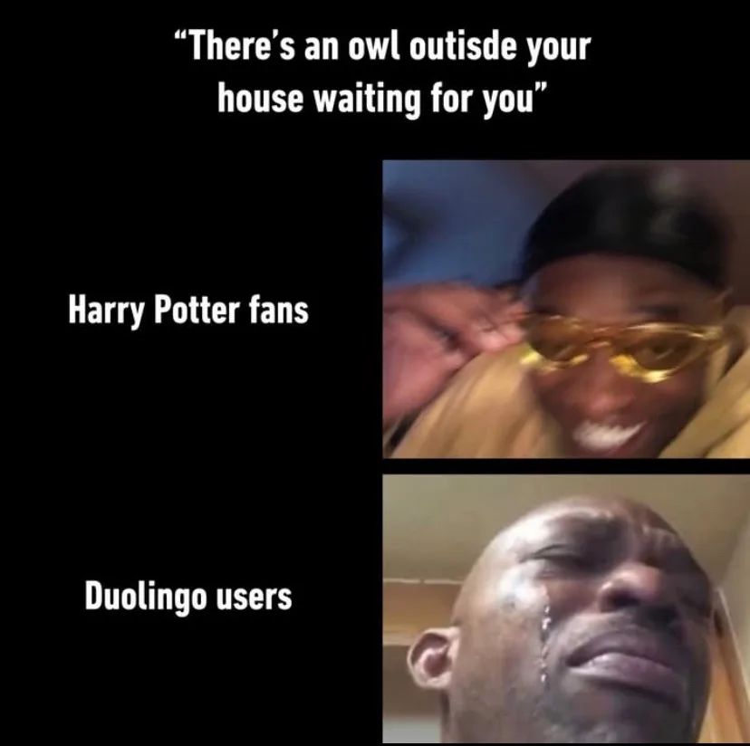 The image is a two-panel meme. The top panel shows a man in yellow sunglasses smiling excitedly, labeled 'Harry Potter…