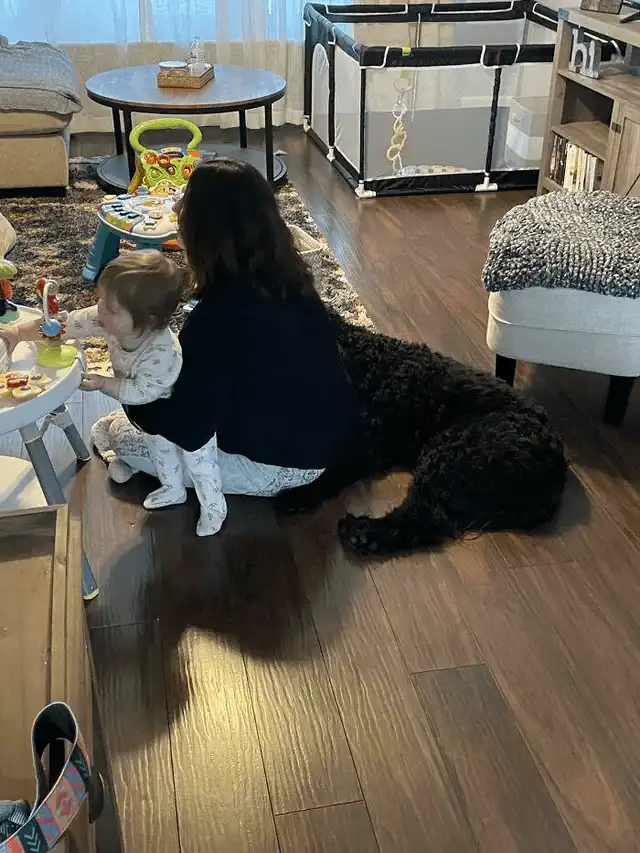 A woman sits on a hardwood floor next to a toddler playing with toys, with a large black dog lying stretched out behind her…