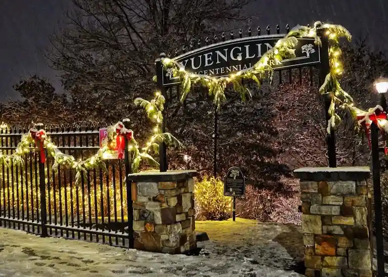 The Iconic Taste of Yuengling: A Brew Lover's Delight