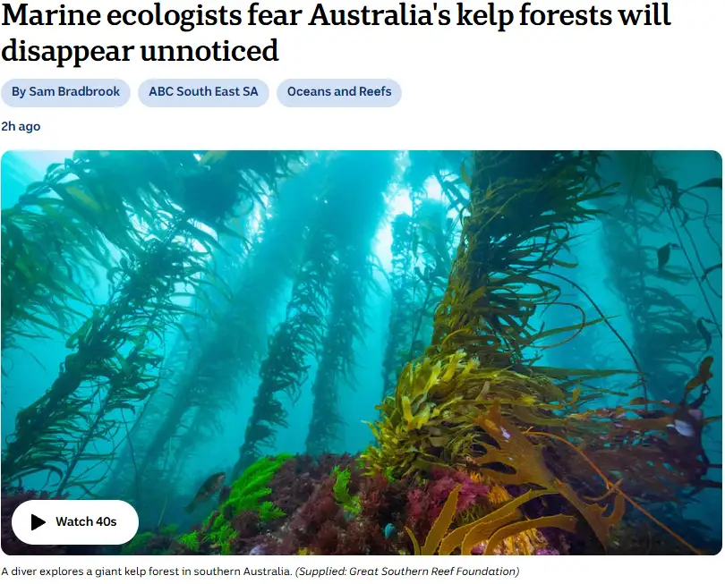 An underwater photograph shows tall, dense kelp forests with green and brown fronds swaying in blue water, sunlight…