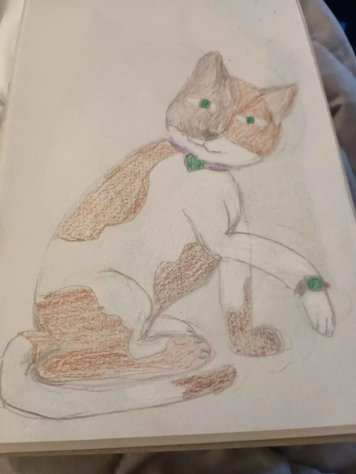 A hand-drawn colored pencil sketch of a cat with orange and white patches, green eyes, a purple collar with a green heart…