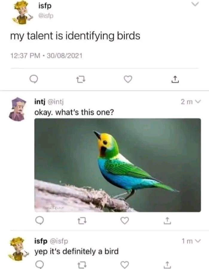 A screenshot of a Twitter thread shows a user named 'isfp' claiming their talent is identifying birds. Another user, 'intj'…