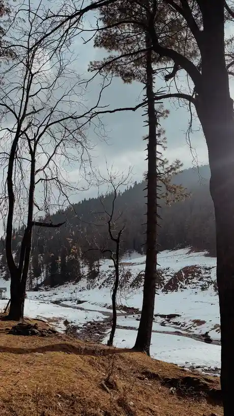 A scenic winter landscape with snow-covered hills, bare trees, and a stream, overlaid with the text 'i'm not lazy, i'm in…