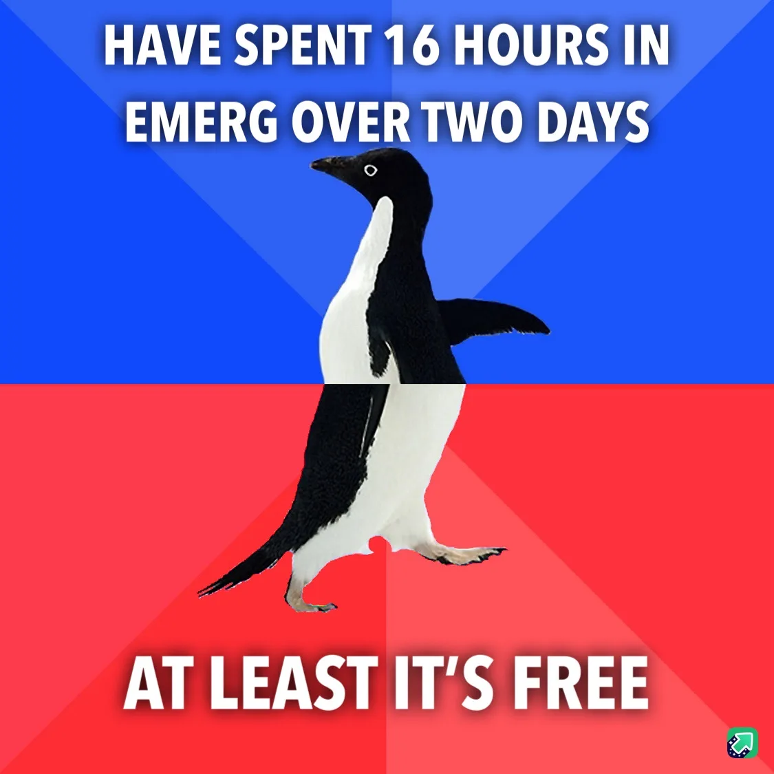 A black-and-white penguin stands centered against a split blue and red background. White bold text at the top reads 'HAVE…