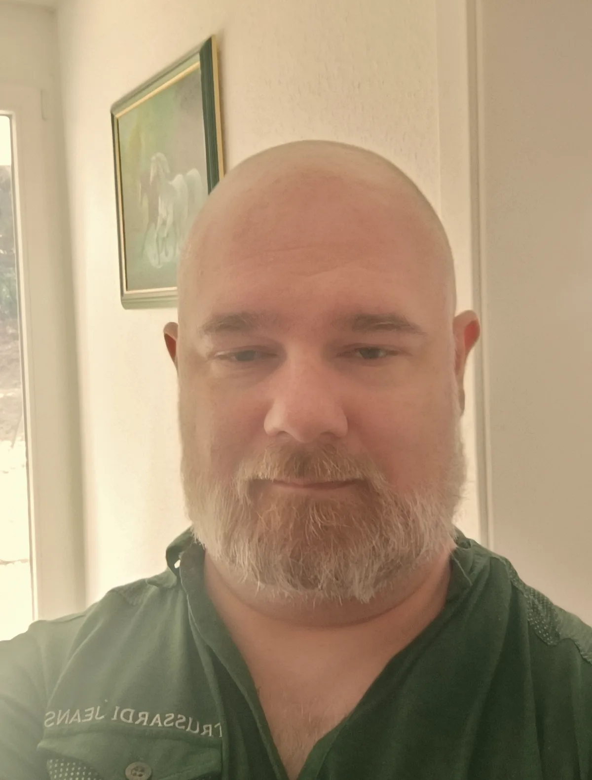A bald man with a full white beard and mustache wearing a green shirt looks directly at the camera with a neutral…
