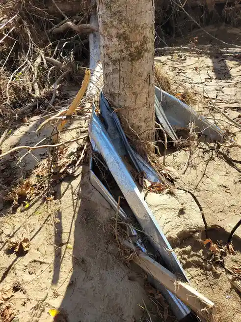 A close-up photo shows tree roots growing around and through a bent, silver metal guardrail lying on dry, cracked earth. The…