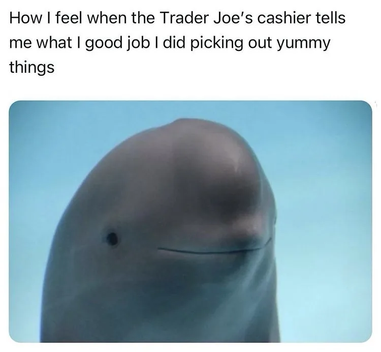 A close-up image of a dolphin's head underwater, showing a subtle, contented smile. The text overlaid at the top reads: 'How…