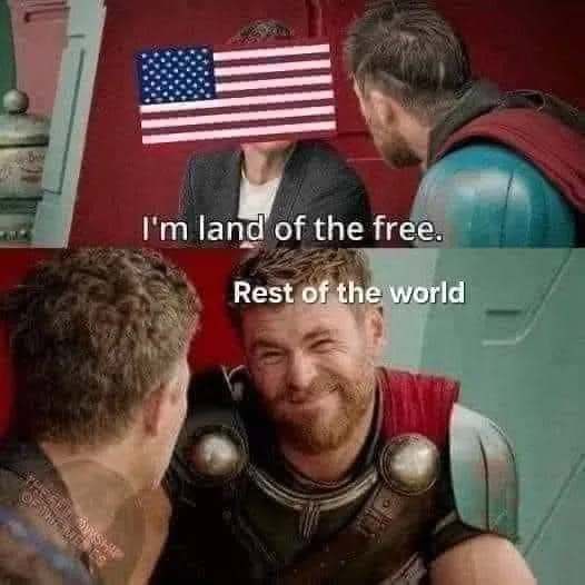 Top panel shows a person with an American flag over their face, facing Thor, with text 'I'm land of the free.' Bottom panel…