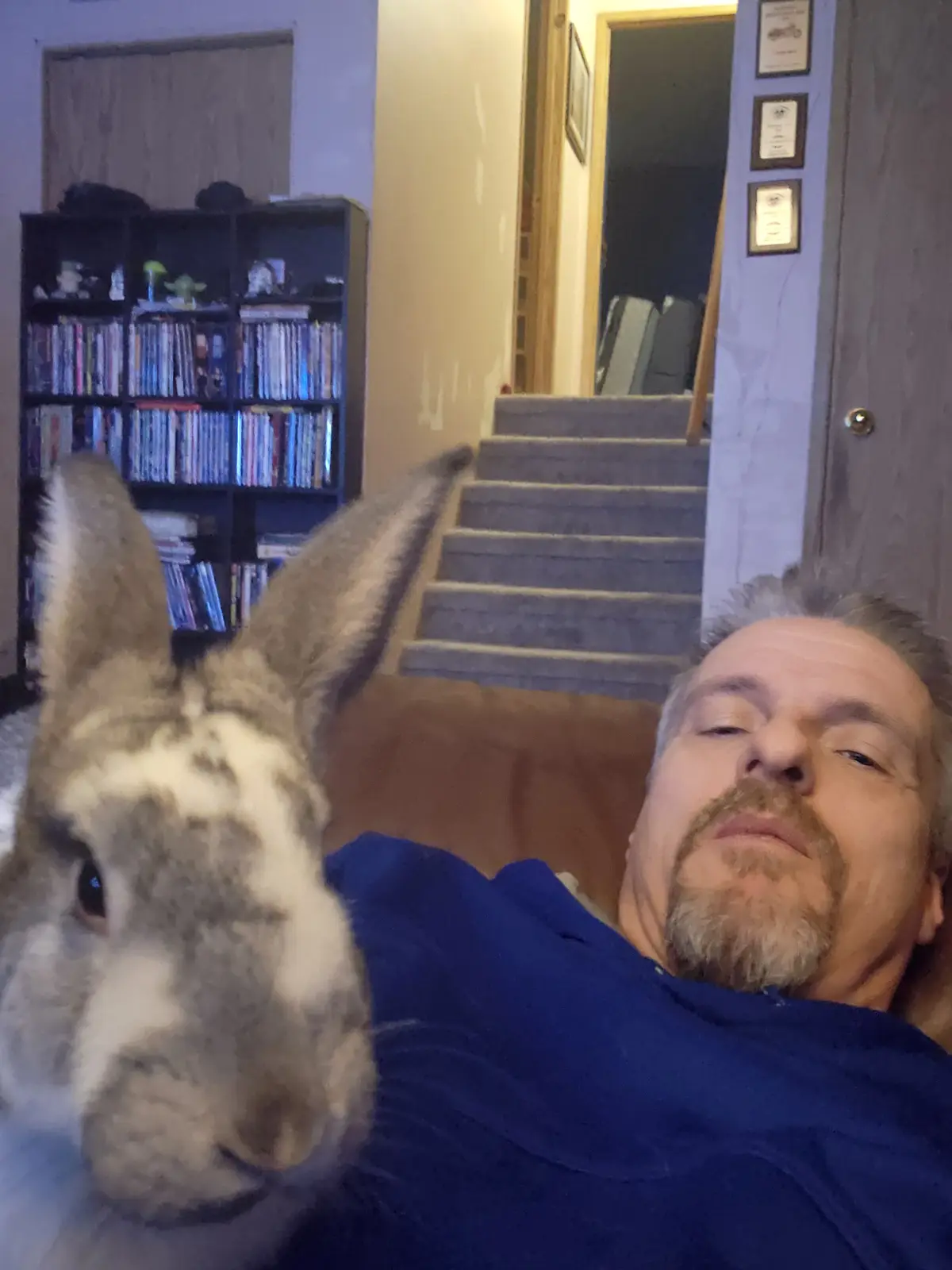 Our Adorable Bun Got Some Freedom! Dogs: Not Impressed.