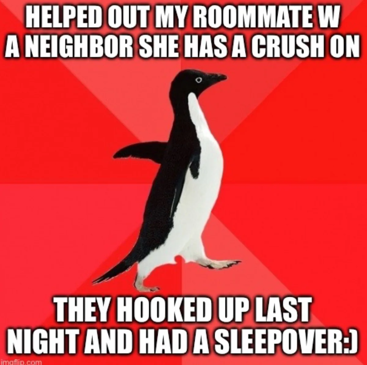 A black-and-white penguin walks confidently against a red background with diagonal stripes. The text at the top reads…