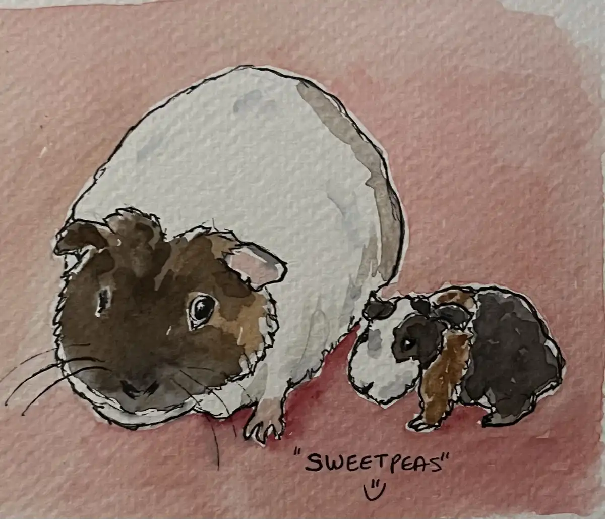 A watercolor painting shows two guinea pigs on a pink background; one large white and brown guinea pig and a smaller…