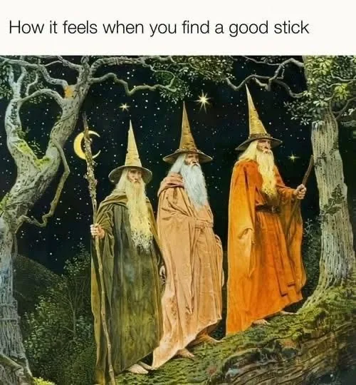 Three wizards in pointed hats and robes stand in a mystical forest at night under a crescent moon and stars, each holding a…