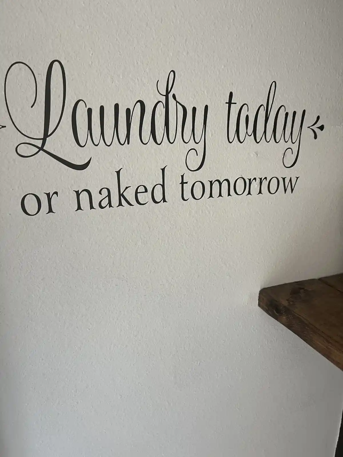 Laundry Today, Freedom Tomorrow