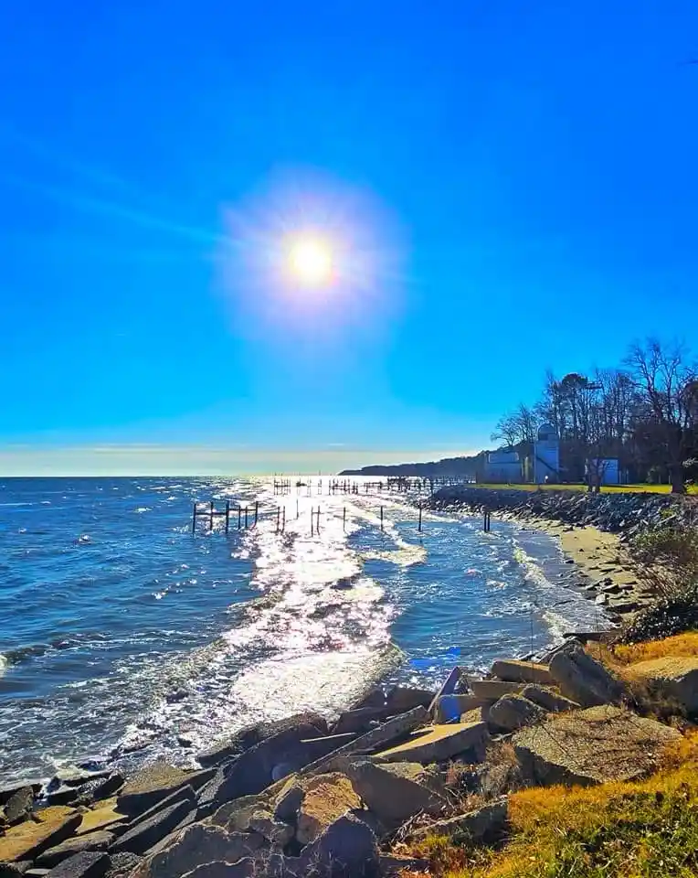 A bright, sunny coastal scene with a sparkling ocean, rocky shoreline, and a pier extending into the water under a clear…