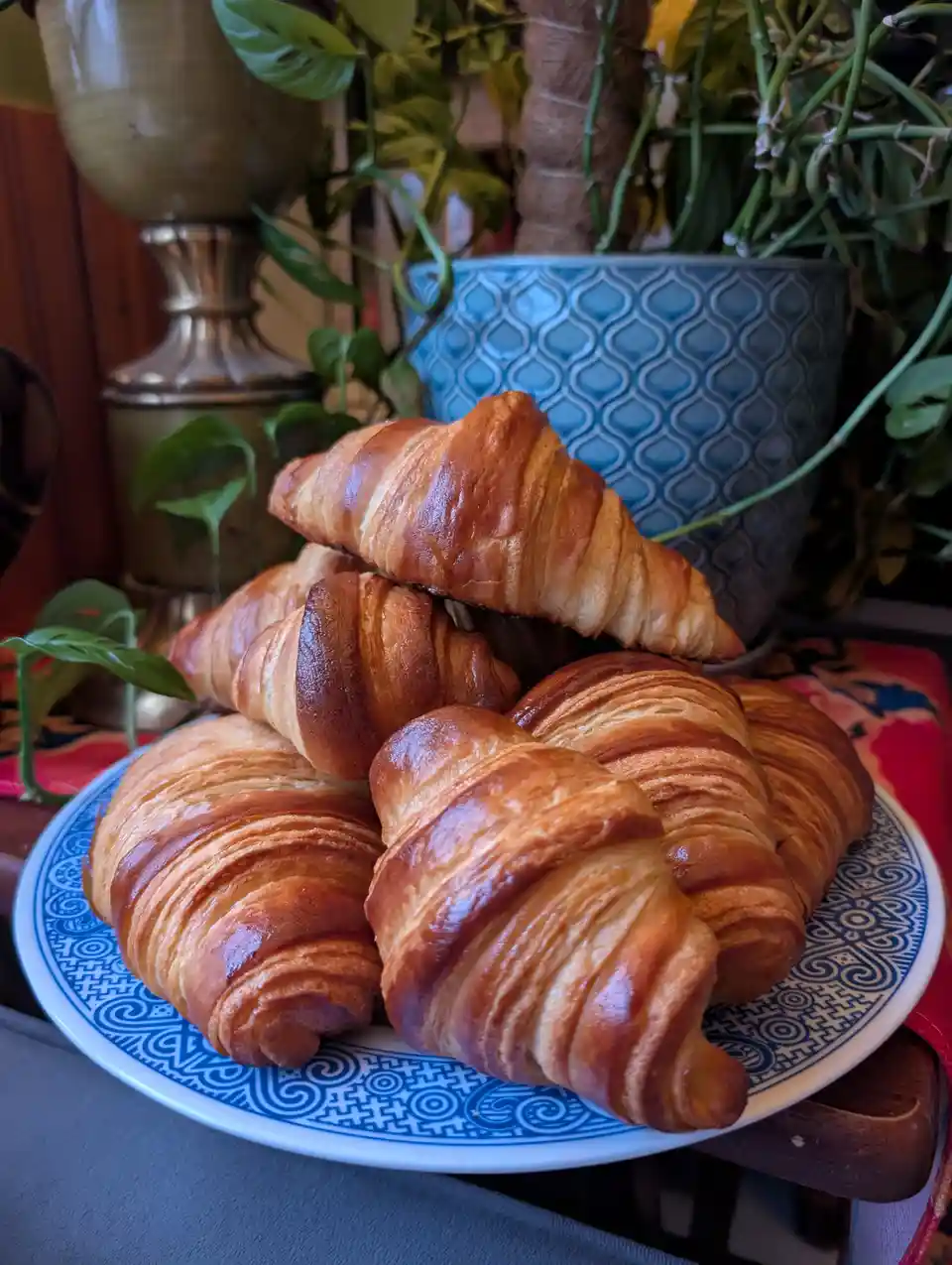 A plate piled high with golden-brown, flaky croissants sits on a patterned blue and white plate, surrounded by houseplants…