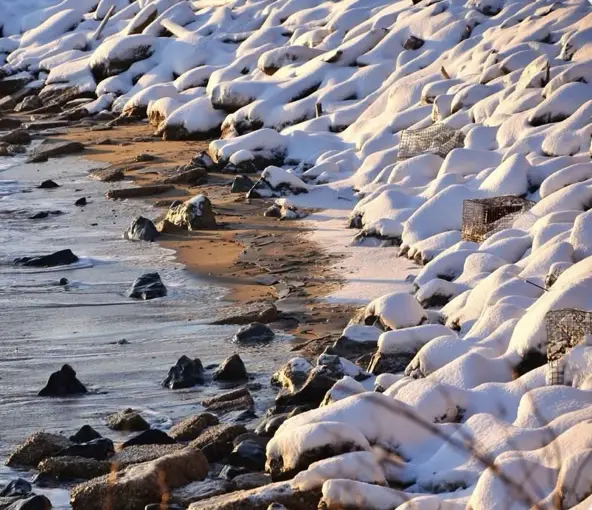 A Serene Winter Shoreline