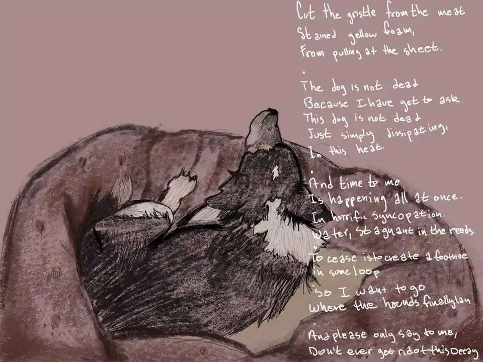 A sketch of a dog lying on a couch, overlaid with handwritten text that reads 'Cut the gristle from the meat, Stained yellow…