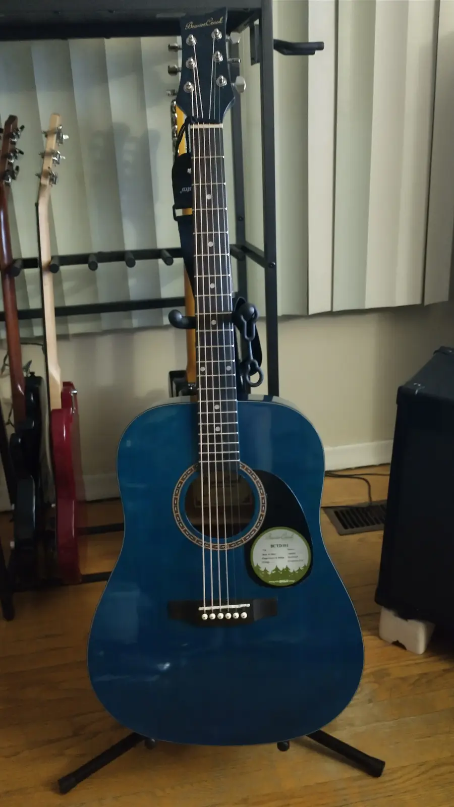 A Showcase of My Beloved Guitar Gear