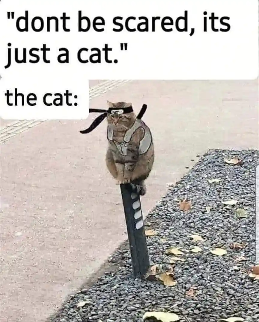 A tabby cat sits atop a black post outdoors, digitally edited to wear a ninja headband and a white ninja vest with black…