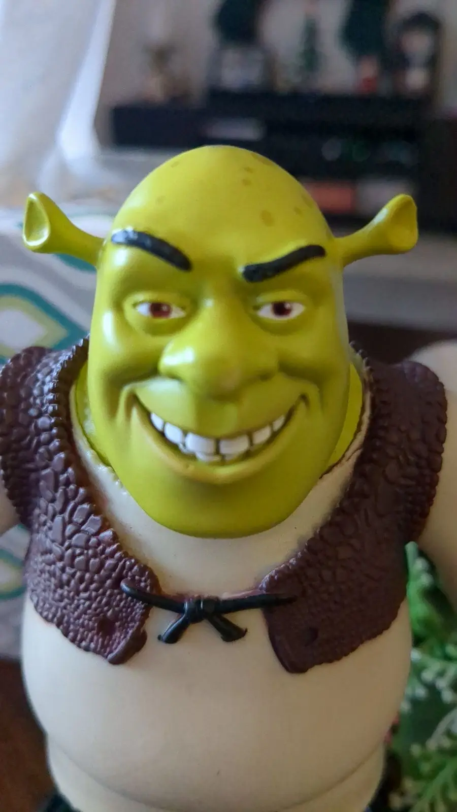 Celebrating Merry Shreksmas with a Twist!