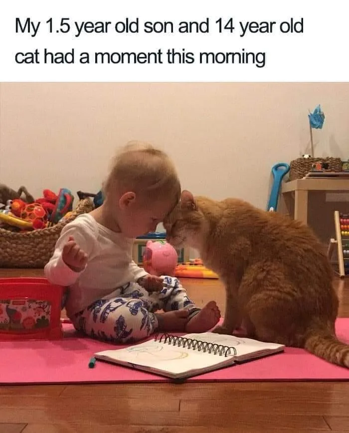 Bless their little hearts, spreading love <3