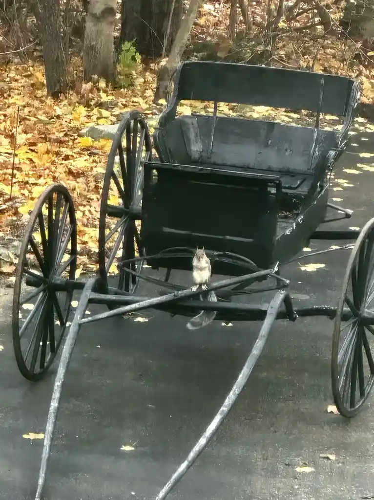 Time to dash, my Uber has arrived!