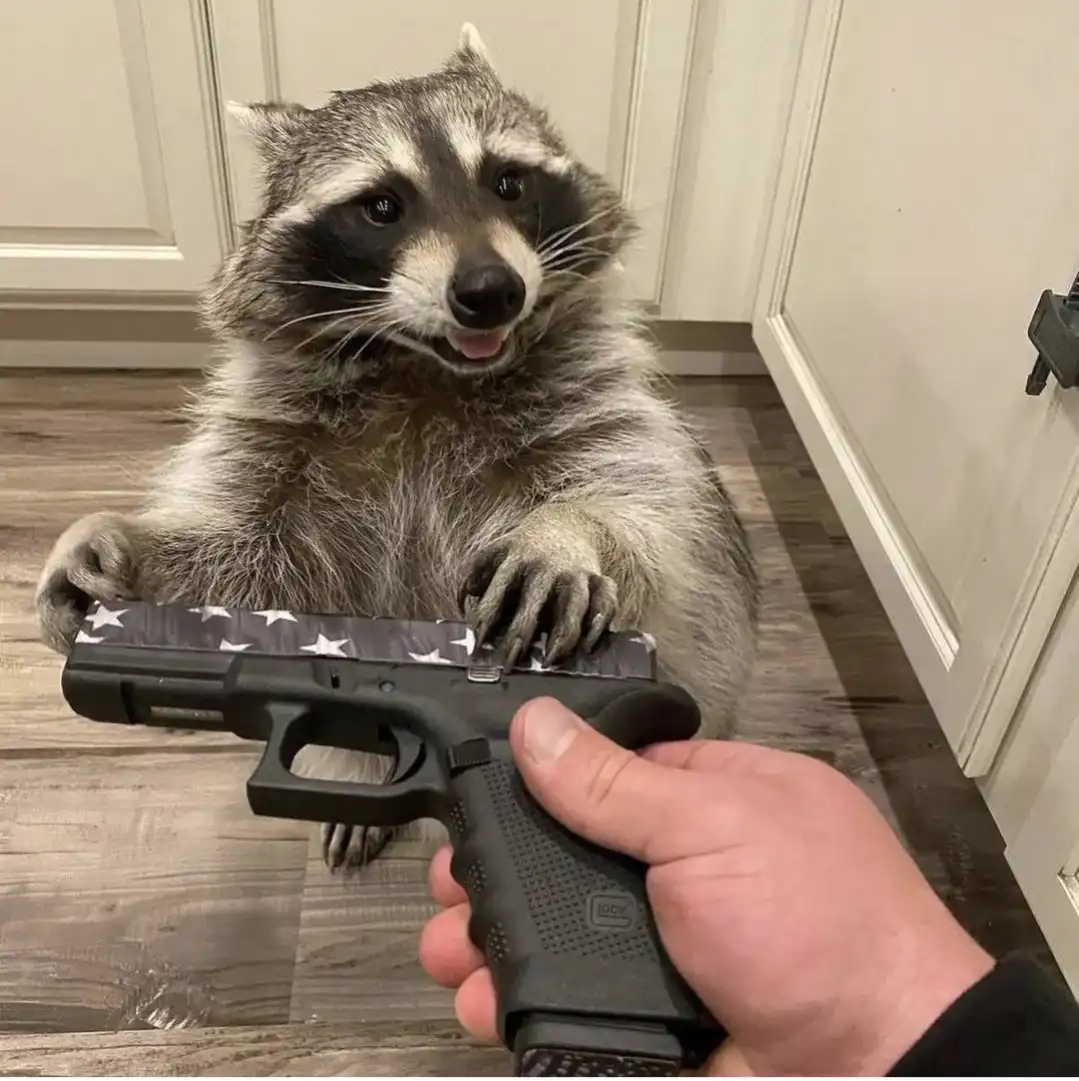 Embrace Your Inner Rebel: Do Crime