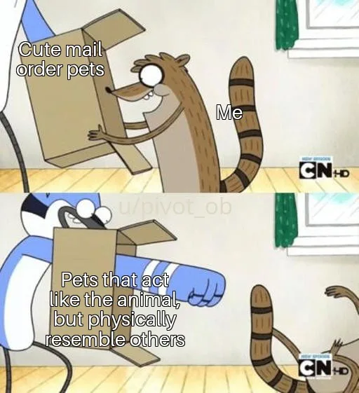 Two-panel cartoon meme featuring a raccoon and a blue jay. In the top panel, the raccoon labeled 'Me' holds a cardboard box…