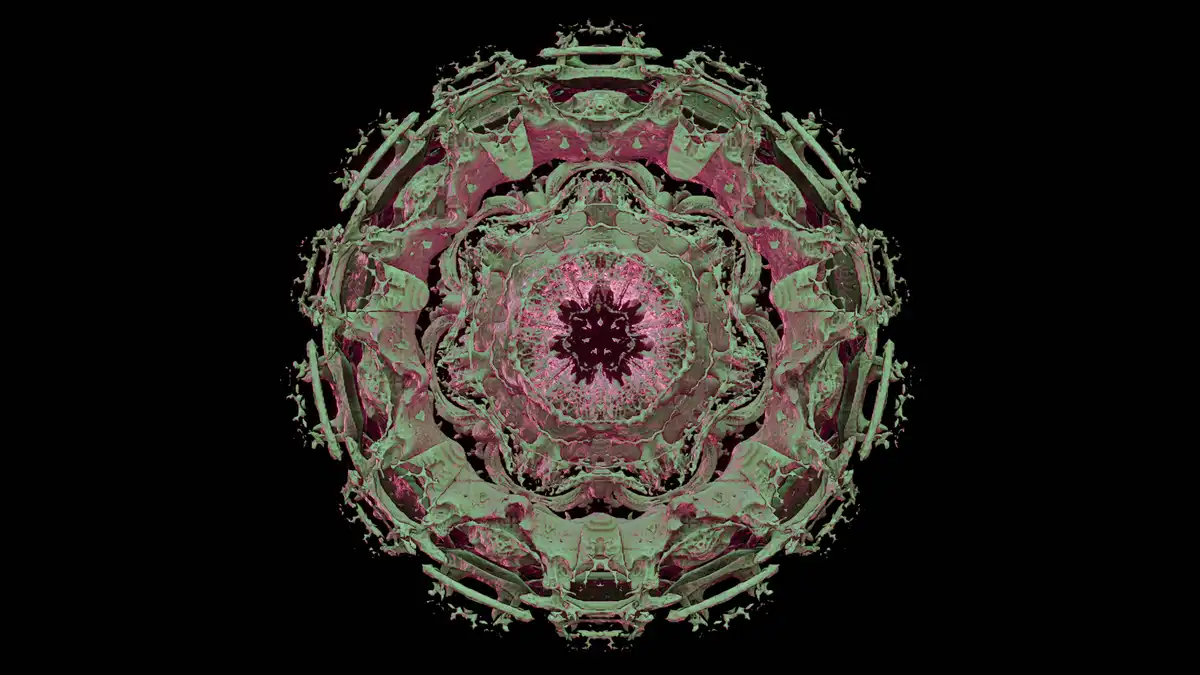 A symmetrical, kaleidoscopic fractal pattern in shades of green and magenta, resembling a complex, organic mandala against a…