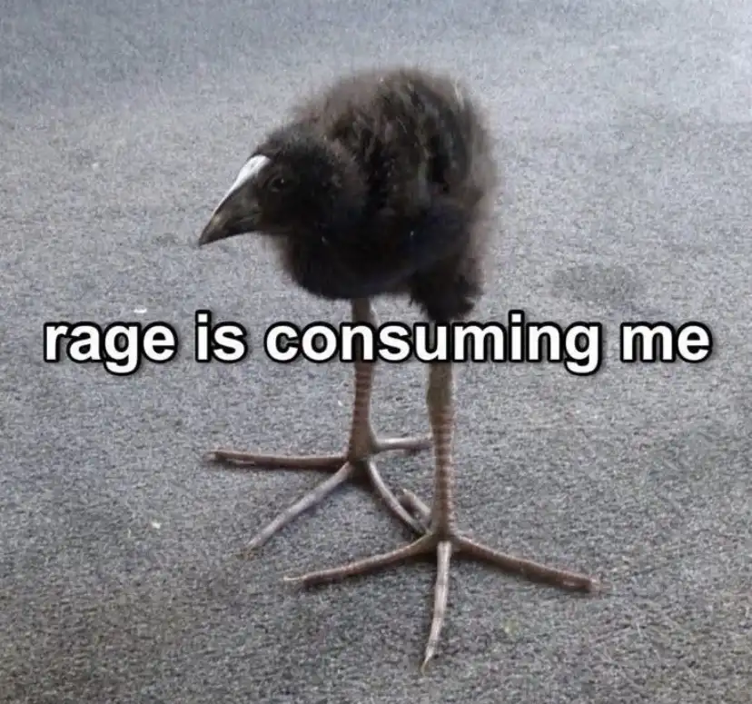 The Epic Comeback of the Meme: Episode 1177 Featuring Lungfish
