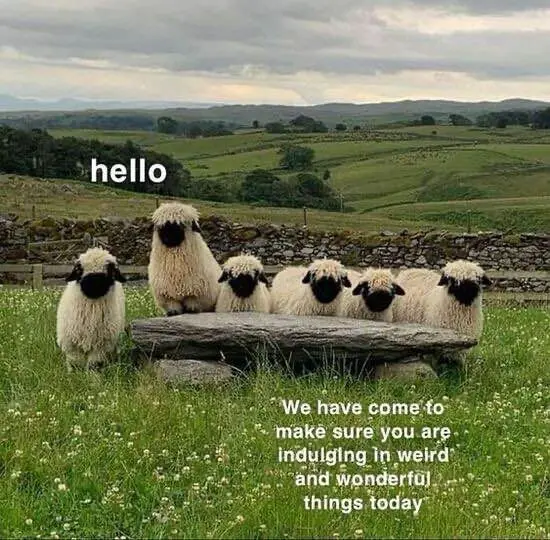 Sending love to my wonderfully quirky community - Happy New Year!