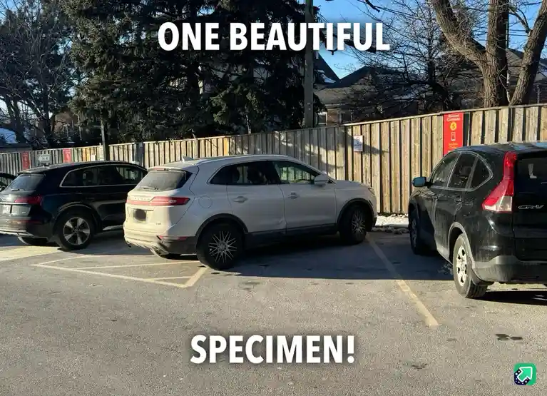 A parking lot scene with three SUVs parked side-by-side, a silver Lincoln MKX in the center is highlighted by large white…