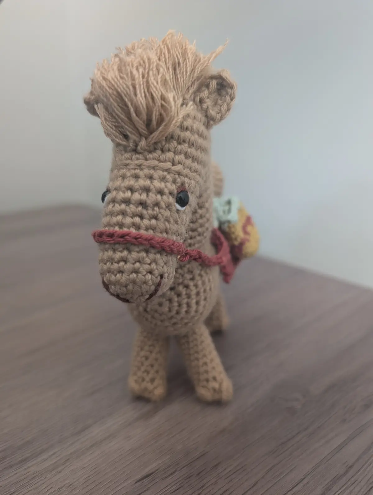 The Crochet Camel of the Silk Road