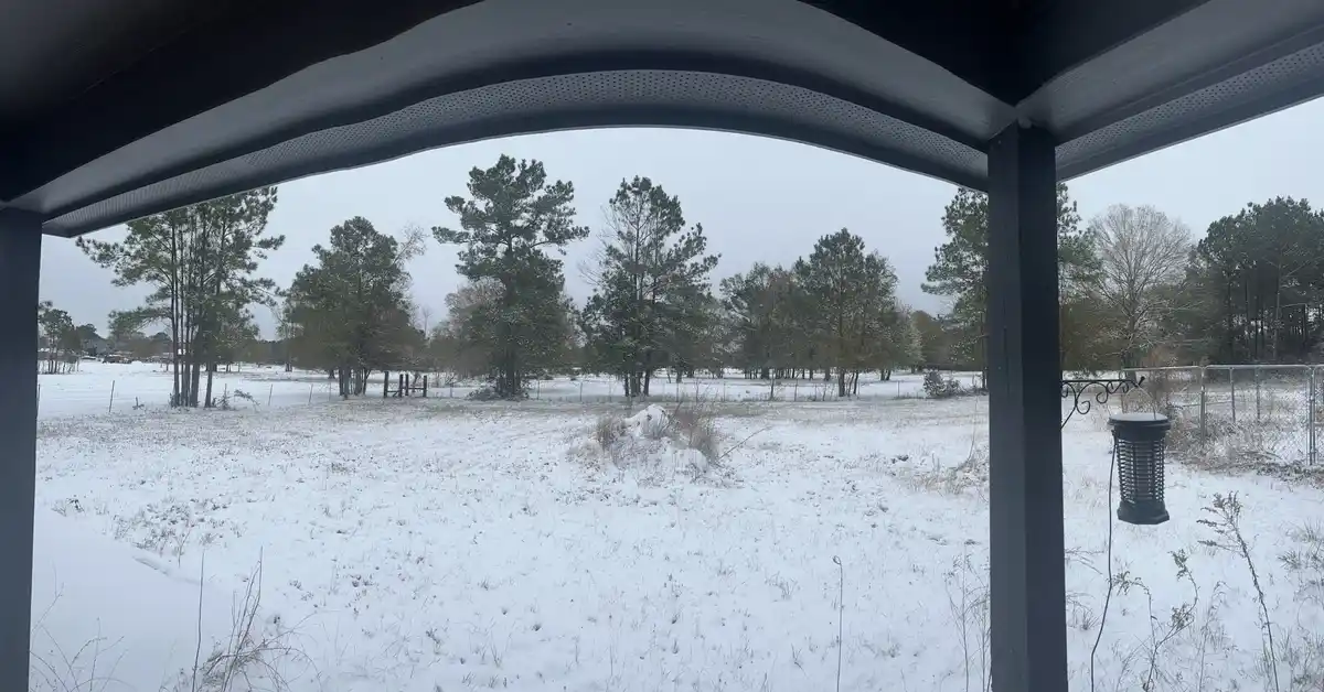 A snowy landscape viewed from under a dark wooden gazebo or covered porch, with snow-covered ground, scattered evergreen…
