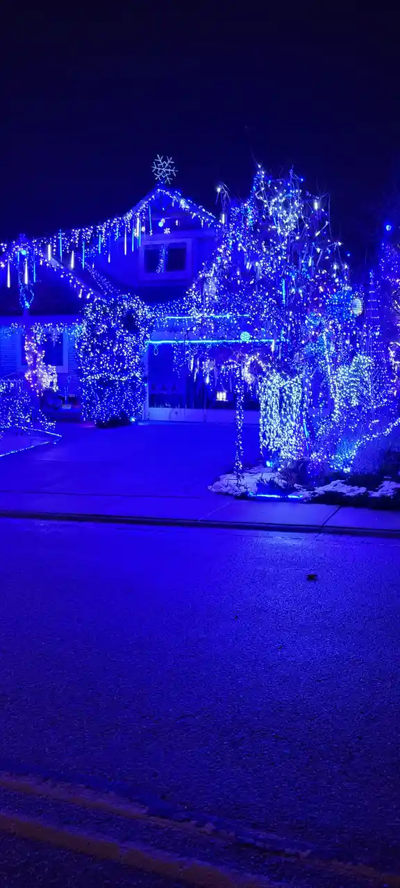 A house and surrounding trees are covered in bright blue holiday lights at night, casting a monochromatic blue glow over the…