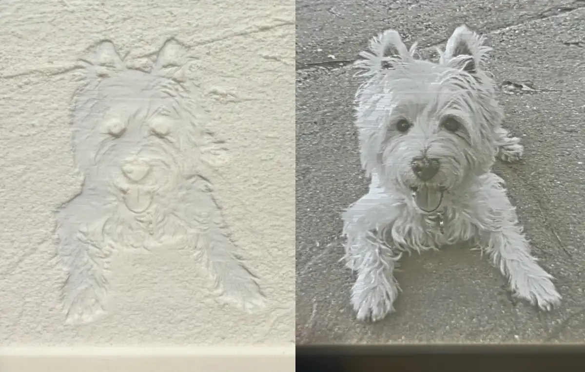 The image is split into two panels: left shows a detailed, raised relief carving of a dog's face in light-colored sand…