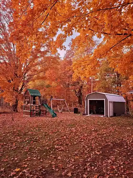 A vibrant autumn backyard scene with orange maple leaves covering the ground and framing the sky, featuring a wooden playset…