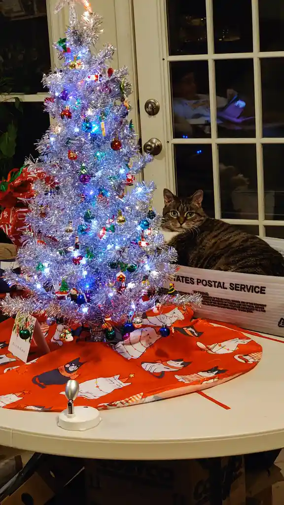 A tabby cat with green eyes sits calmly beside a brightly lit, silver tinsel Christmas tree adorned with colorful ornaments…